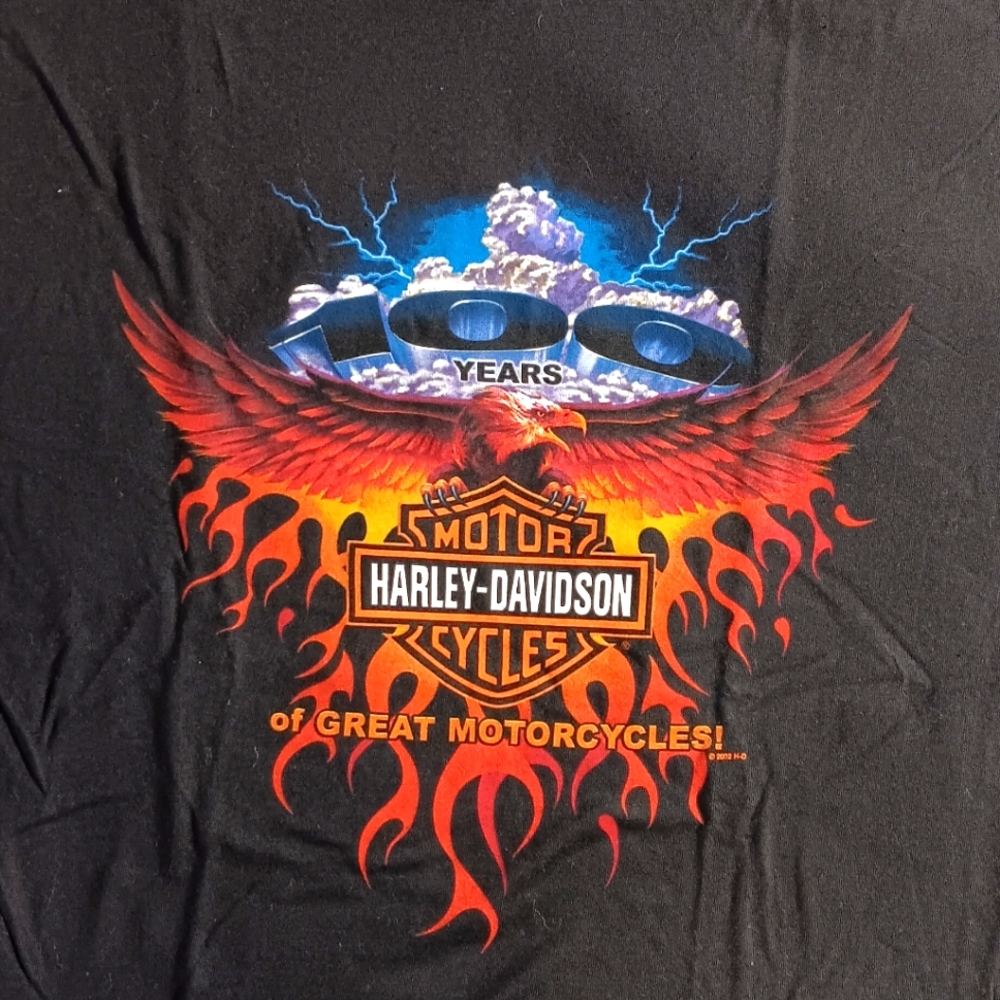 Harley Davidson Vintage 2002 Tee